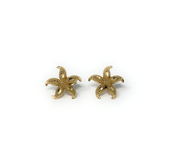 14k Starfish Earrings 2.5g
