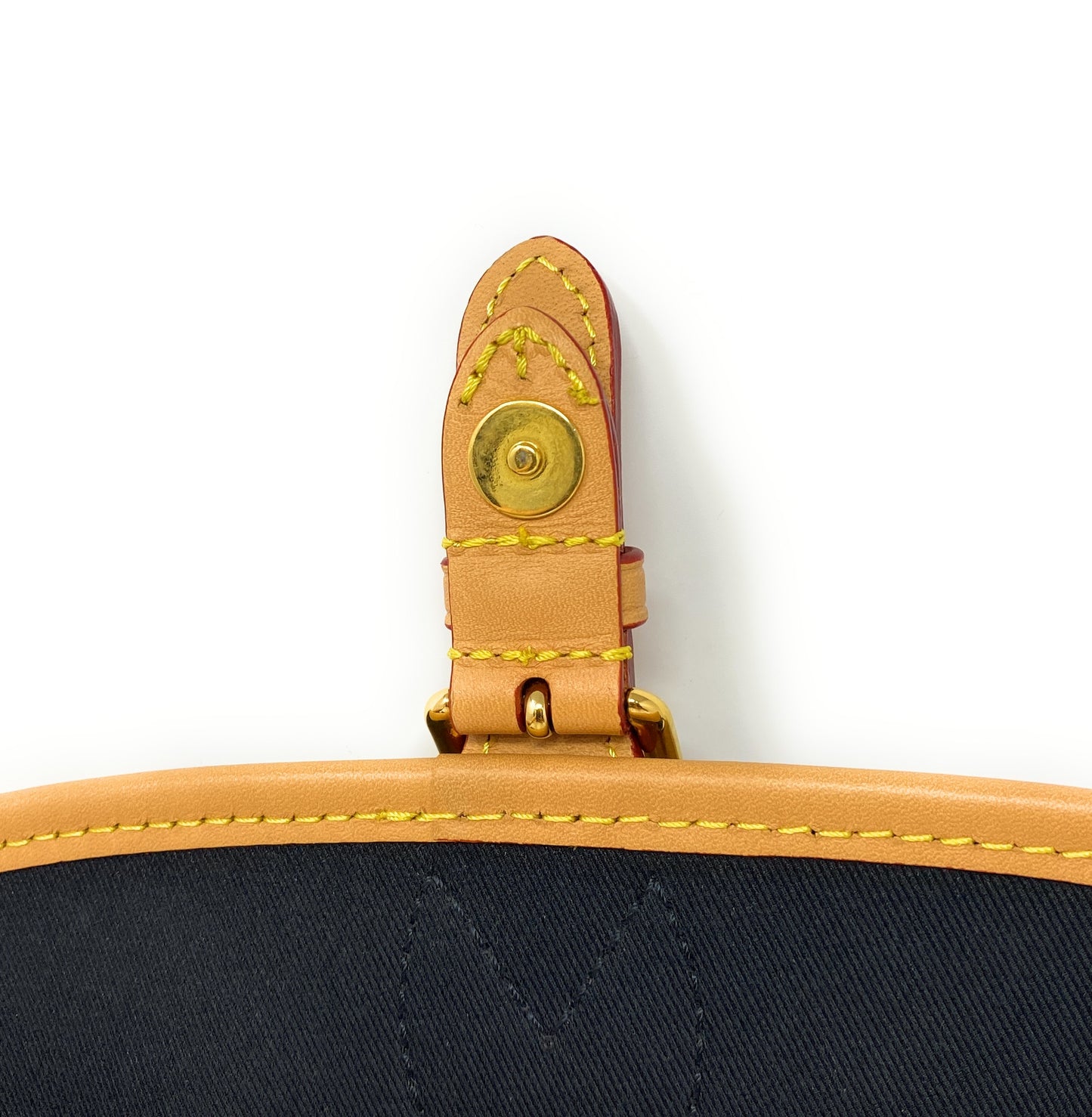 Louis Vuitton Diane Monogram Canvas Purse & Crossbody Bag In Box