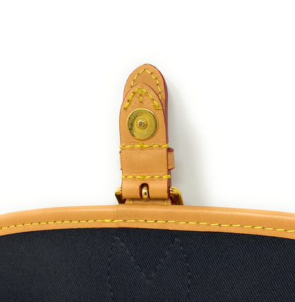 Louis Vuitton Diane Monogram Canvas Purse & Crossbody Bag In Box