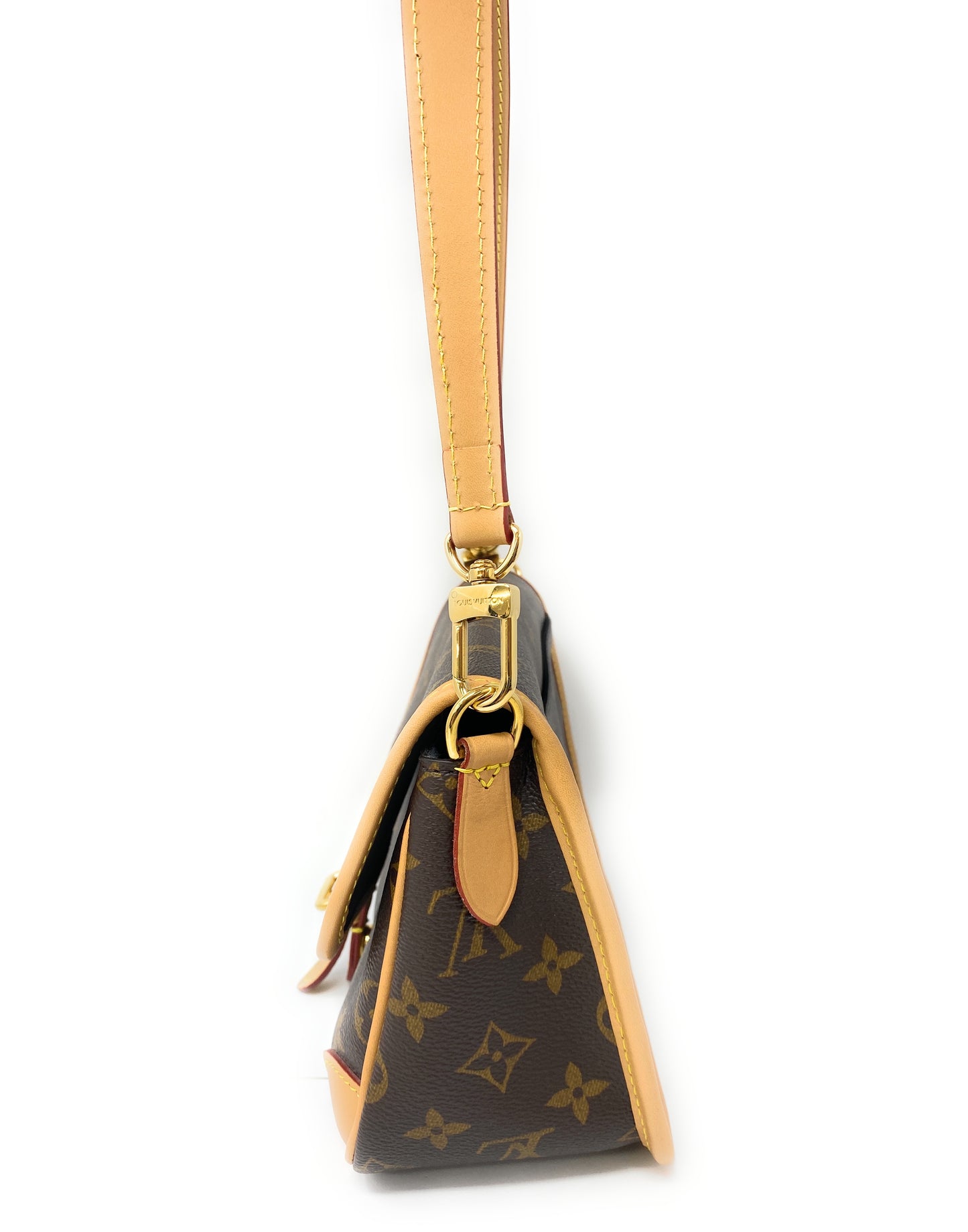 Louis Vuitton Diane Monogram Canvas Purse & Crossbody Bag In Box