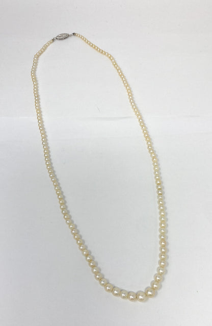 Pearls Calibrated Pearl Necklace 24in 19.1g